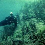 Подводный мир озера Байкал